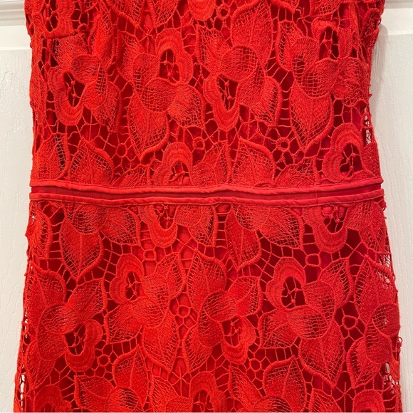 Ann Taylor Lace Dress - Picture 8 of 16